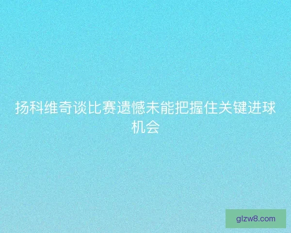 扬科维奇谈比赛遗憾未能把握住关键进球机会